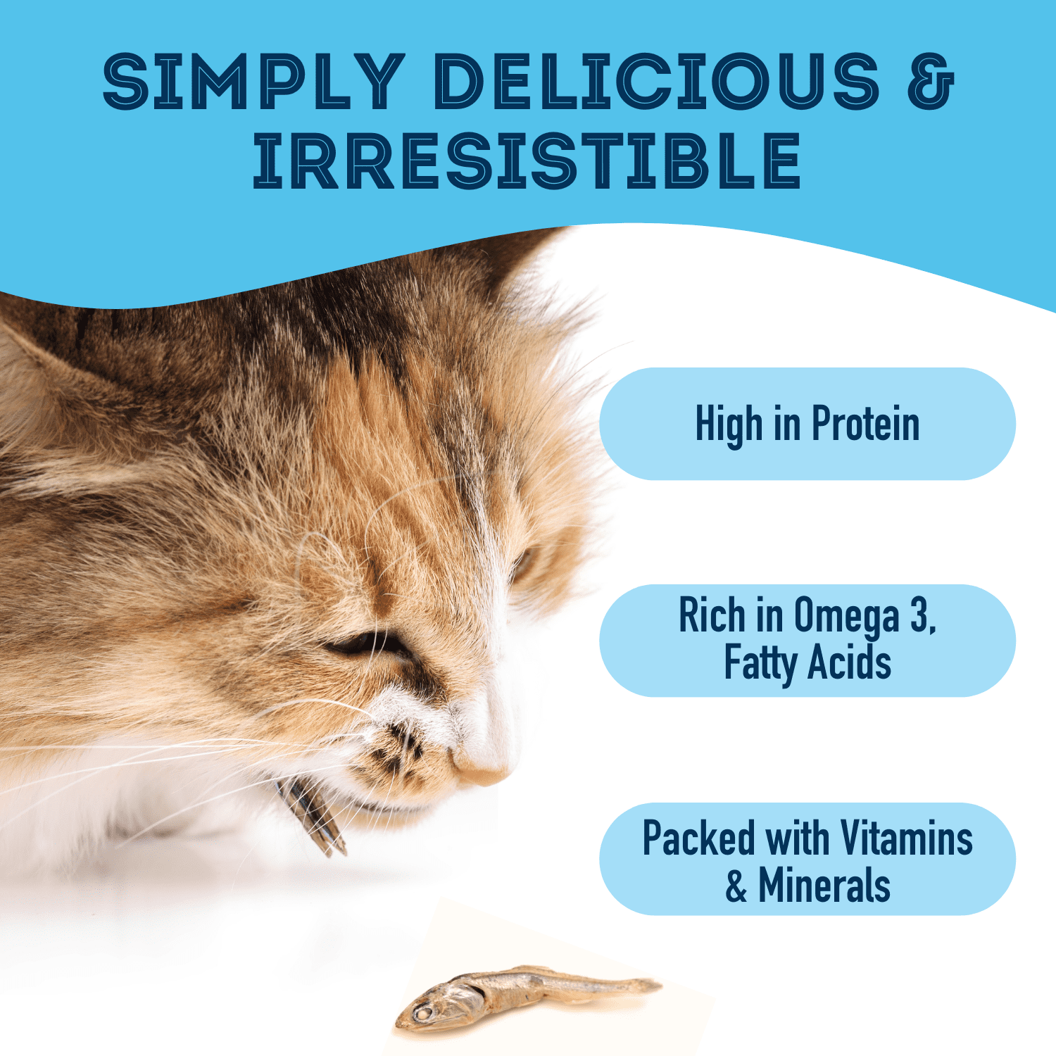 The Granville Island Pet Treatery Pure Proteins with Love and Fishes Sardine Treats for Dogs & Cats, 210 Gram