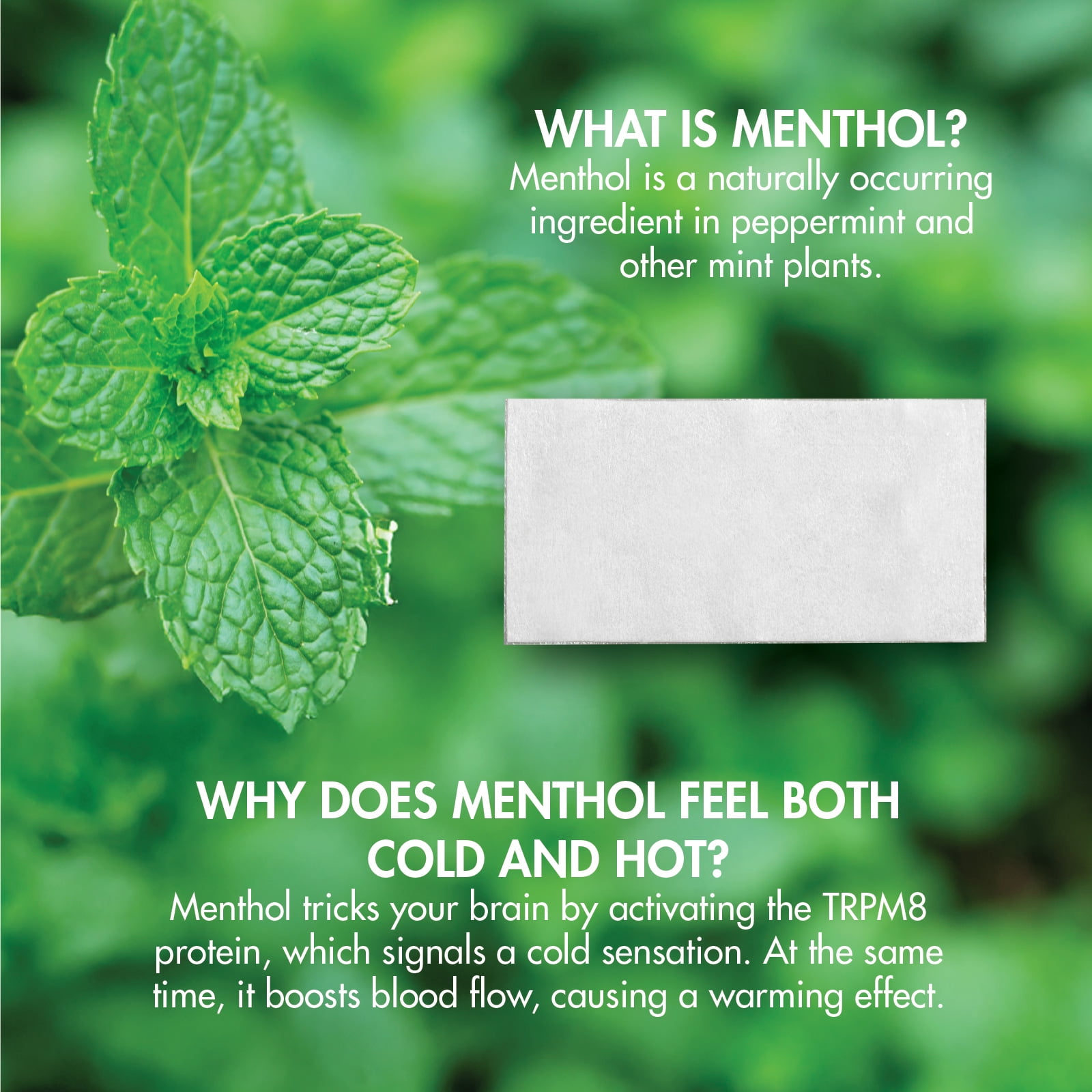 HealthWise Cold Hot Medicated Menthol Patch | 5% Menthol | Back and Large Areas | 7.87” x 3.93” | 25-Count | Paraben-free | Soothes Minor Aches and Pains