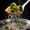 B, variant on Stainless Steel Serving Spoons Slotted Spoon, Serving Spoon and Perforated Spoons, Soup Ladle,Kitchen Cooking Utensils
