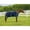 Navy, variant on Tuffrider Kozy Komfort Stable Sheet