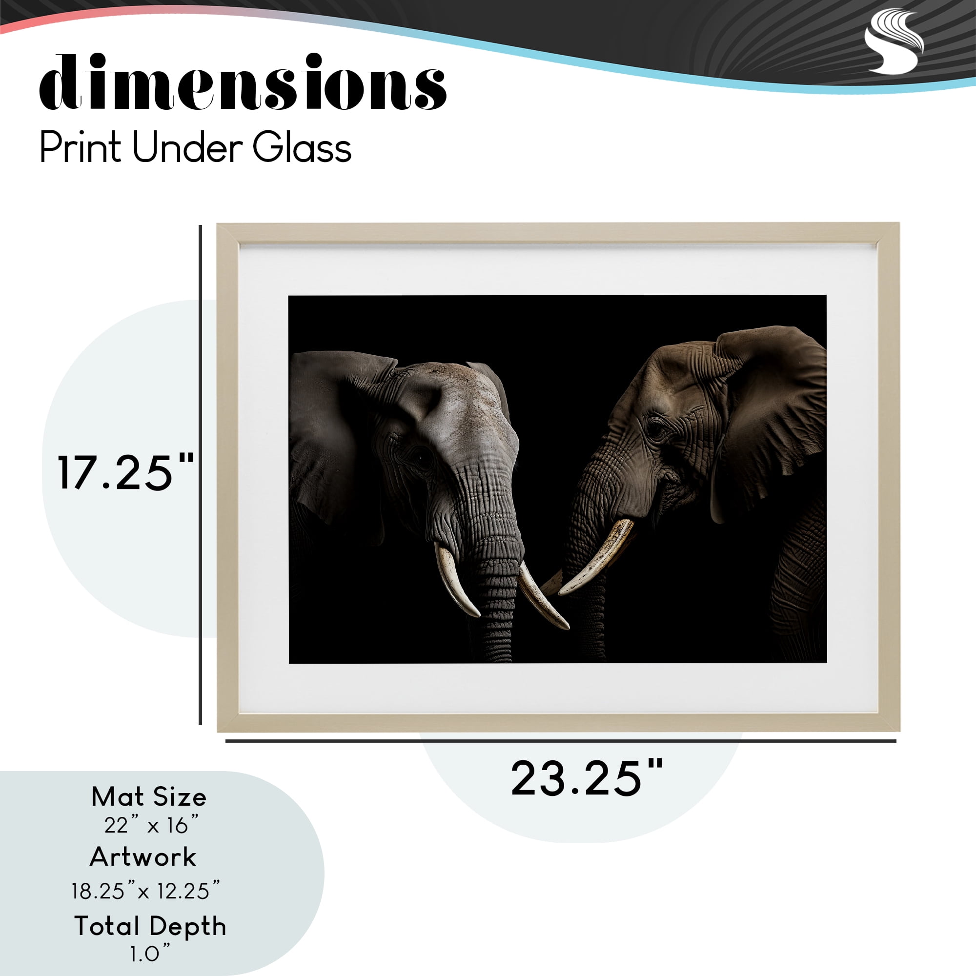 Pachyderm Elephant Pair Birch Framed Print Under Glass, design by Decent Exposures
