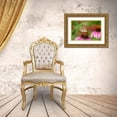 thumbnail image 3 of Day, Richard and Susan 32x23 Gold Ornate Wood Framed with Double Matting Museum Art Print Titled - Painted Lady (Vanessa cardui) on Purple Coneflower -Marion County-Illinois, 3 of 4