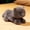 Black, variant on Cute Realistic Animal Plush Toys, Children's Comfort Dolls, Girls' Birthday Gifts