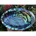 Abalone Shell, Seashell Incense Burner, Smudge Bowl for Holding Smudge ...
