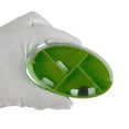 thumbnail image 5 of Unique Bargains 1 Pc 4 Grids Rotating Lid Pill Case Durable for Travel Green, 5 of 6