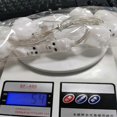 thumbnail image 5 of Cadena de luces LED ZHAOCHENG forma de calavera para Halloween 10 luces 4.92 pies, 5 of 5