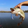 thumbnail image 3 of Swimbaits Fishing Tackle Soft Plastic Lure Realistic Appearance for Outdoor Pond Fishing, 3 of 8