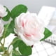 thumbnail image 3 of 8 Cabezas de Flores Rosas Artificiales de Ramificación Larga para Decoración de Bodas Rosa blanco, 3 of 9
