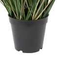 thumbnail image 4 of Vickerman 36" Artificial Potted Green Curled Grass., 4 of 6