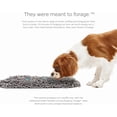 thumbnail image 6 of Pet Parents®  Forager®  Mat, Snuffle Mat for Dogs & Slow Feeder Dog Bowl with SoftSnout® Material (Meadow 12x18"), 6 of 9
