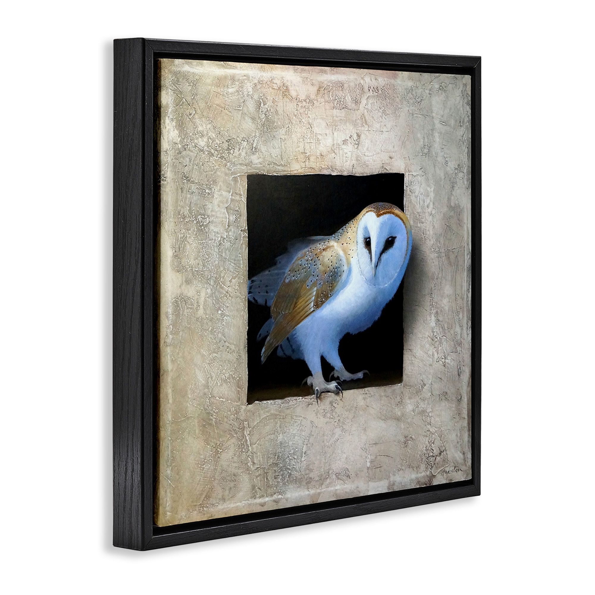 Stupell Industries Mysterious Barn Owl Peering Animals & Insects Painting Black Floater Framed Canvas Art Print Wall Art, 25 x 25