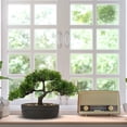 thumbnail image 2 of GnFlus 9 inch Artificial Bonsai Tree Juniper Faux Plants Indoor Small Fake Plants Decor with Ceramic Pots, 2 of 6