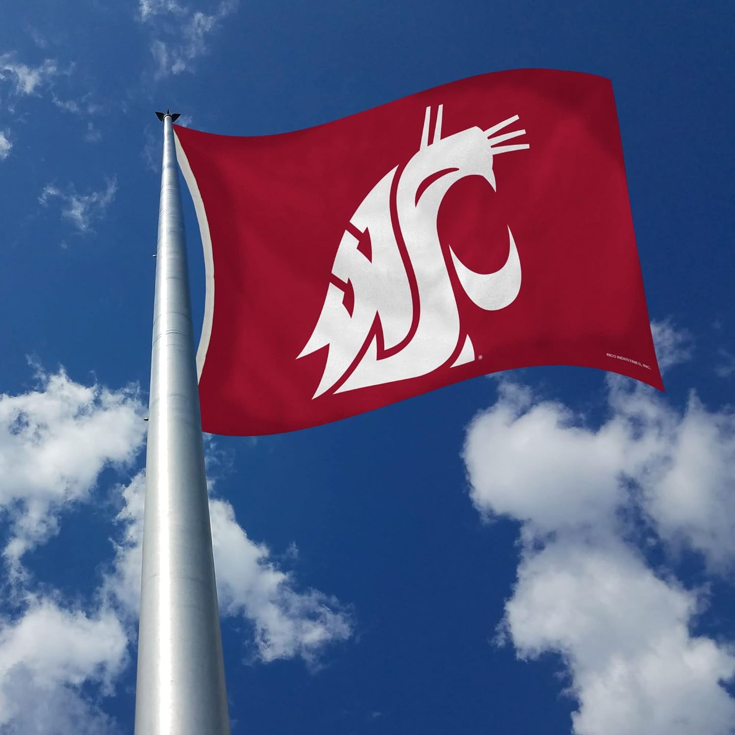 Indoor Outdoor 3 x 5 Banner Flag with grommets for hanging - Washington-St-Cougar's