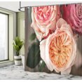 thumbnail image 4 of Ambesonne Flowers Shower Curtain, Romantic Roses on Blurred, 69"Wx84"L, Peach Pink and Emerald, 4 of 4