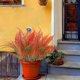 thumbnail image 5 of Artificial Flowers Long Persian Leaf Wall Hanging Flower Vines Home Decoration Persian Leaf Fake Grass Handle Bouquet, 5 of 6