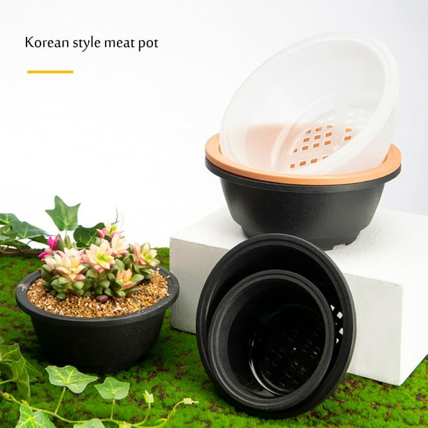 natural plant food for indoor plants Organic Indoor Houseplant Plant Food