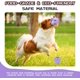 thumbnail image 2 of BEMS-1 pieza de juguete de rompecabezas de pelota de tenis morada, pelota de tenis para perros, 2 of 5