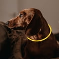 thumbnail image 4 of ADDHAT 1Jgo Collar Para Mascotas De Silicona Amarillo Con LED Resistente Y Ajustable Para, 4 of 8