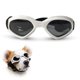 thumbnail image 1 of Gafas para perros gafas de sol para perros gafas de sol UV cinturón ajustable protección impermeable para perros 2704, 1 of 5