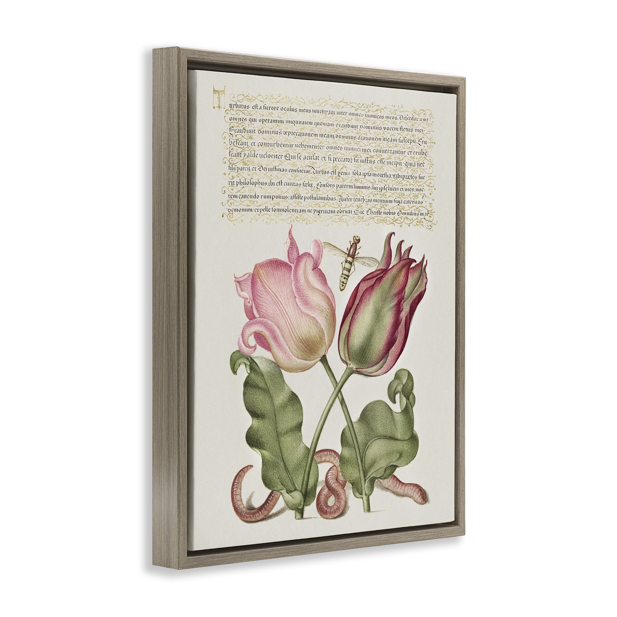 Stupell Industries Tulips & Insects Antique Text & Numbers Painting Brown Floater Framed Canvas Art Print Wall Art, 25 x 31