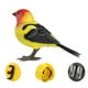 thumbnail image 4 of Robot Bird Electronic Bird Toy Juguete de Desarrollo Movimientos Realistas Figura de Juguete para Niños Y Niñas tangara, 4 of 10