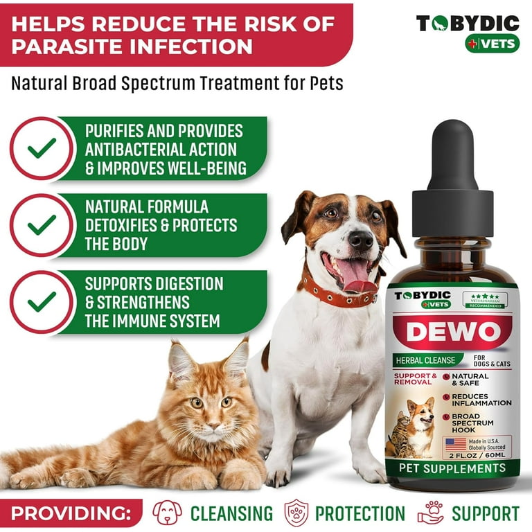 Natural tapeworm treatment for cats best sale