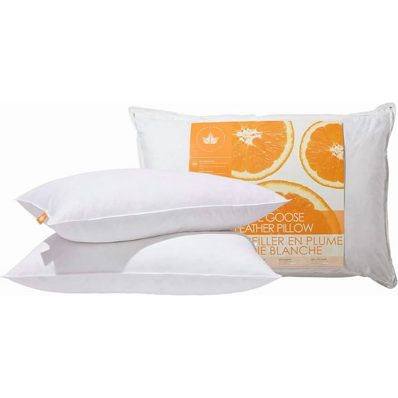 Canadian Down & Feather Co\u Medium Support Goose Feather Pillow Queen Size \u TC Shell Cotton \u Filled in