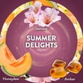 thumbnail image 5 of (5 pack) Air Wick Plug-In Scented Oil Air Freshener Warmer Refills, Summer Delights, 4 Count, 5 of 10