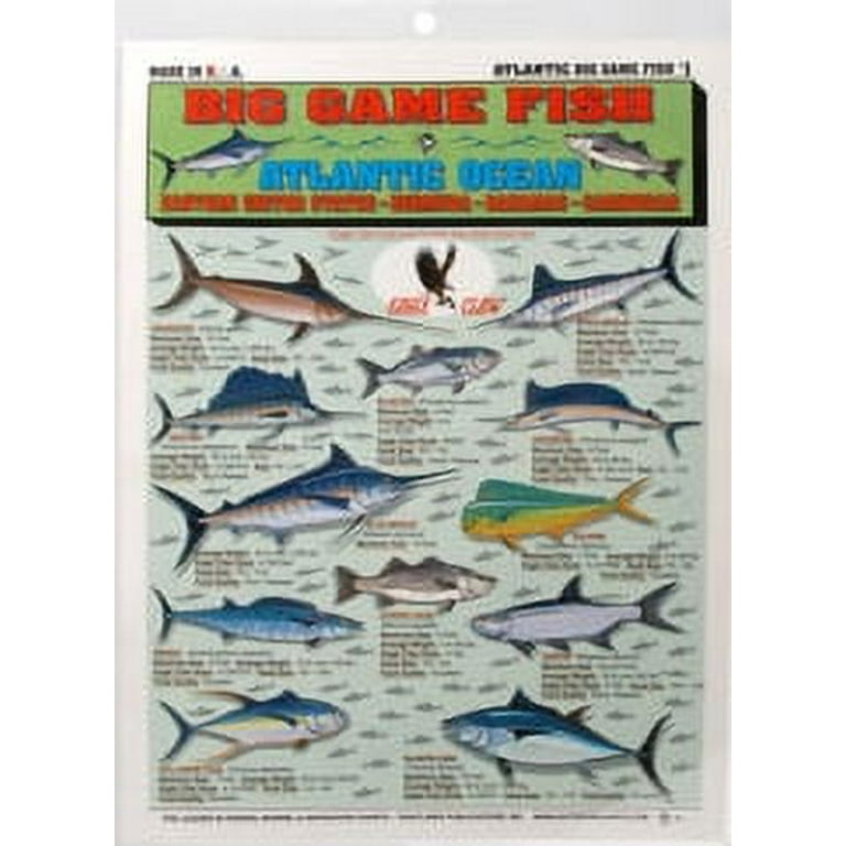 Tightlines 00027 Big Game Fish Chart #1 Atlantic Ocean