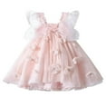 thumbnail image 1 of POINTERTECK Infant Baby Girls Lace Dress Outfit Sleeveless Tutu Mini Dress, 1 of 6