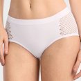 thumbnail image 3 of 3 Womens Stretch Panties Seamless Bikini Brief Mesh Sexy Hipster Underwear Panty, 3 of 6