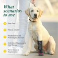 thumbnail image 3 of Drops Foot Brace No Knuckling Boot Brace for Dog All-Weather Paw Protection for All Season Use, 3 of 5