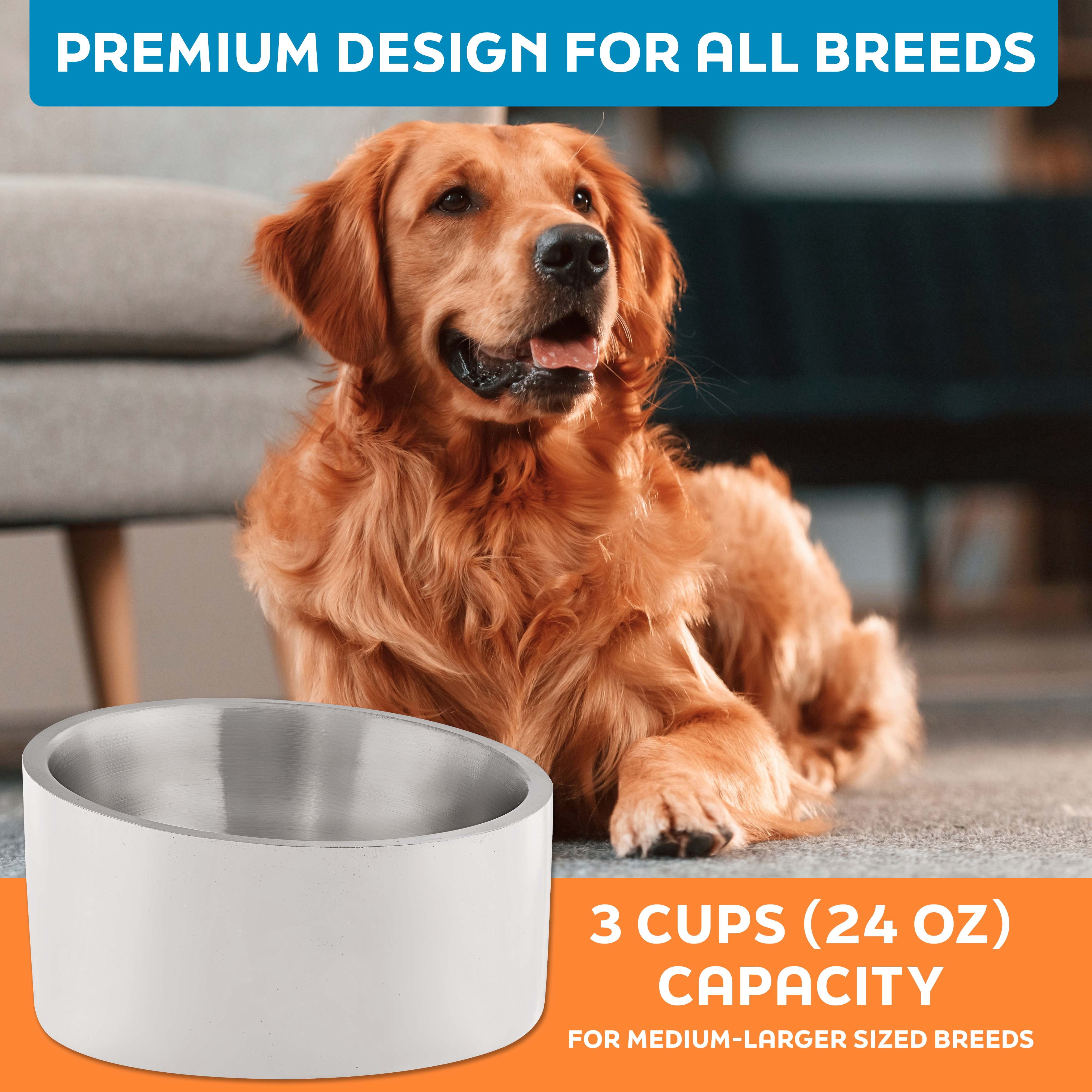 Master Pet Supply Stainless Steel Slanted Dog Cat Food Bowl - 24 oz Heavy Duty - Bone White, Double Wall Insulated, Non-Slip Elevated Bowl for French Bulldogs Pugs Cats, Anti Rust Dishwasher Safe