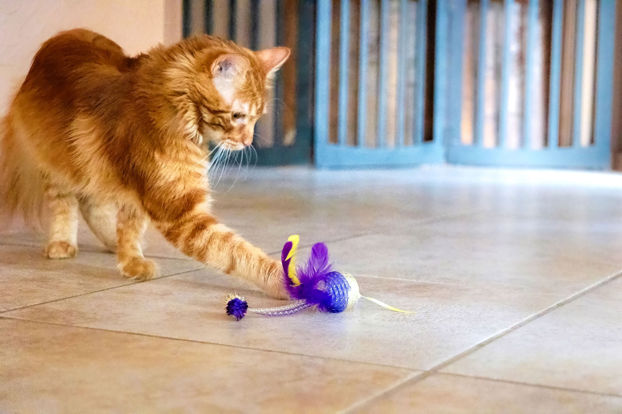 (2 pack) Vibrant Life Mesh Feather Ball Cat Toy, Purple/Yellow
