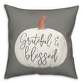 thumbnail image 2 of Creative Products Gray Grateful And Blessed 18 x 18 Spun Poly Pillow, 2 of 3