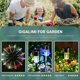 thumbnail image 2 of Solar Christmas Lights, 12 Pack Waterproof Stainless Steel Christmas Lights for Outdoor, Yard, Garden, Landscape/Pathway Decor, 2 of 5