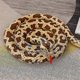 thumbnail image 2 of 200cm/300cm Giant Snakes Plush Toy Simulation Long Golden python Stuffed Snake Plushie Children Boys Gift Home Decoration, 2 of 5