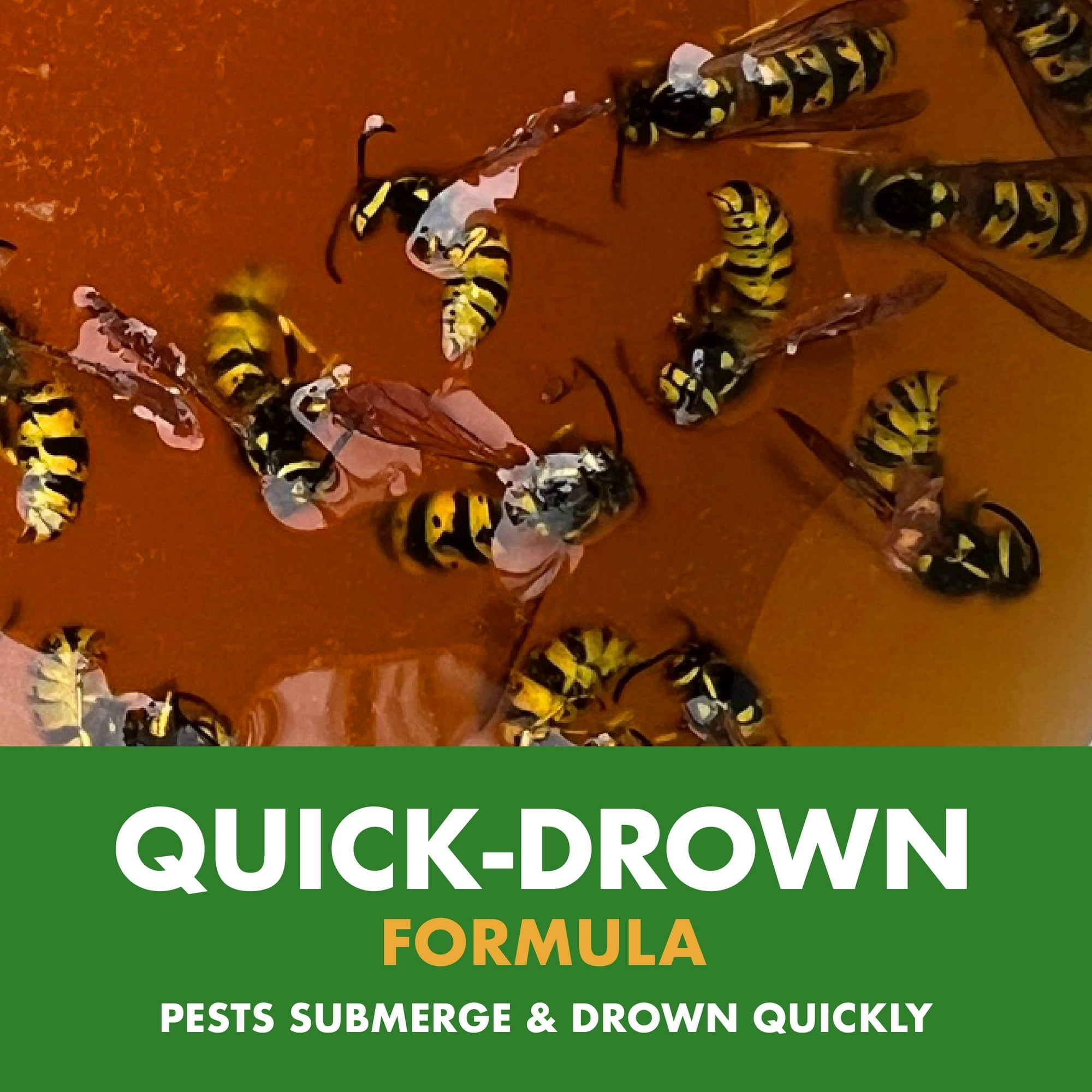 Spectracide Wasp, Hornet and Yellowjacket Trap, Quick-Drown Formula, 1 Count - 2 Box