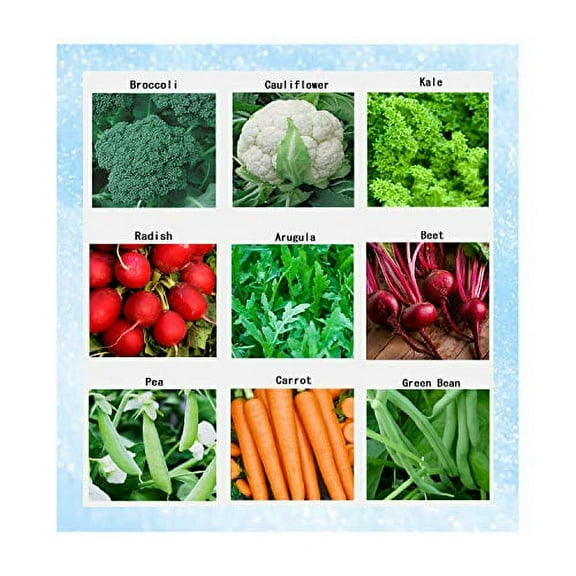Premium Winter Vegetable Seeds Collection Organic Non-GMO Heirloom Seeds Radish, Pea, Broccoli, Beet, Carrot, Cauliflower, Green Bean, Kale, Arugula, Gardner and Chef Favorites
