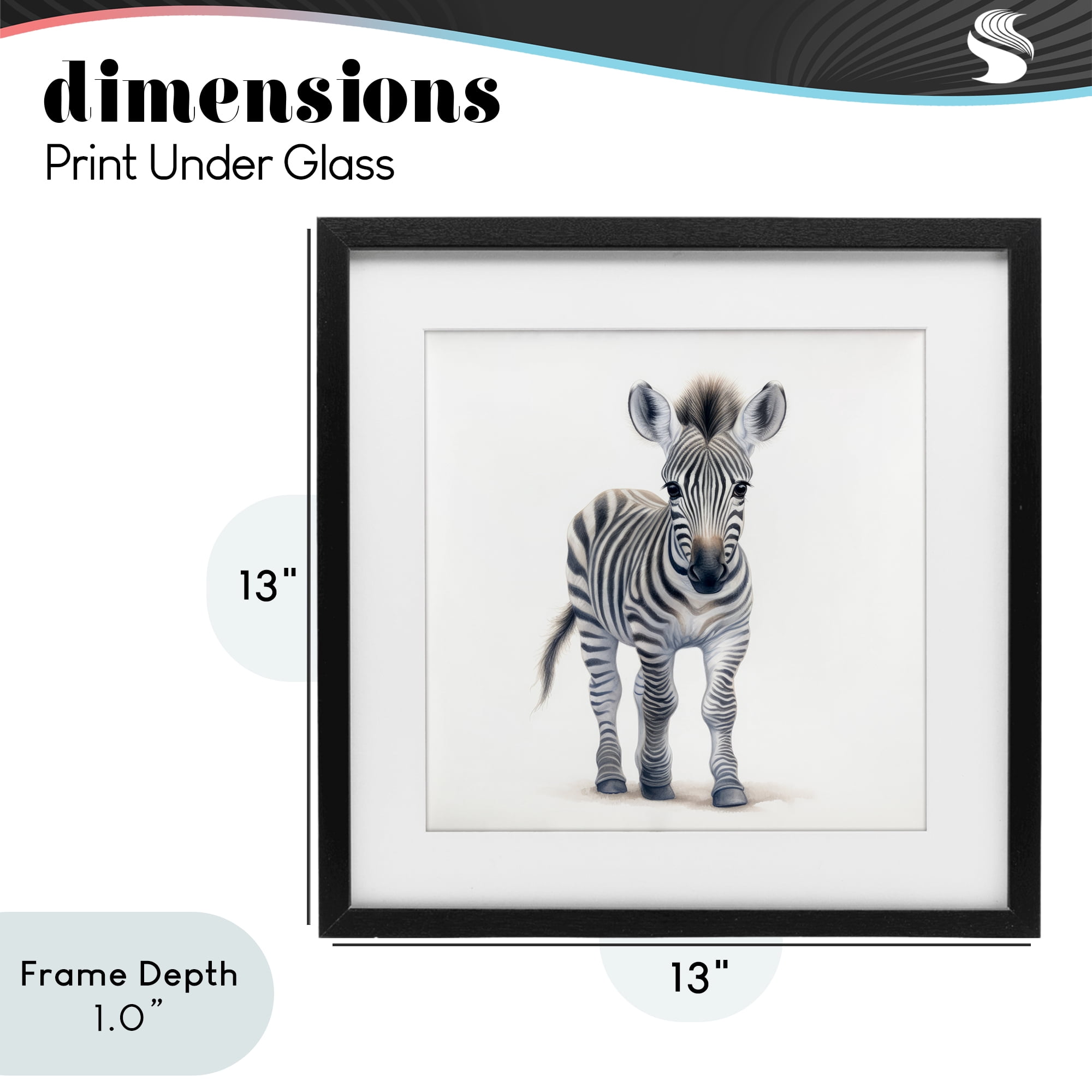 Stupell Industries Friendly Zebra Foal Black Framed Print Under Glass, design by Ray Powers