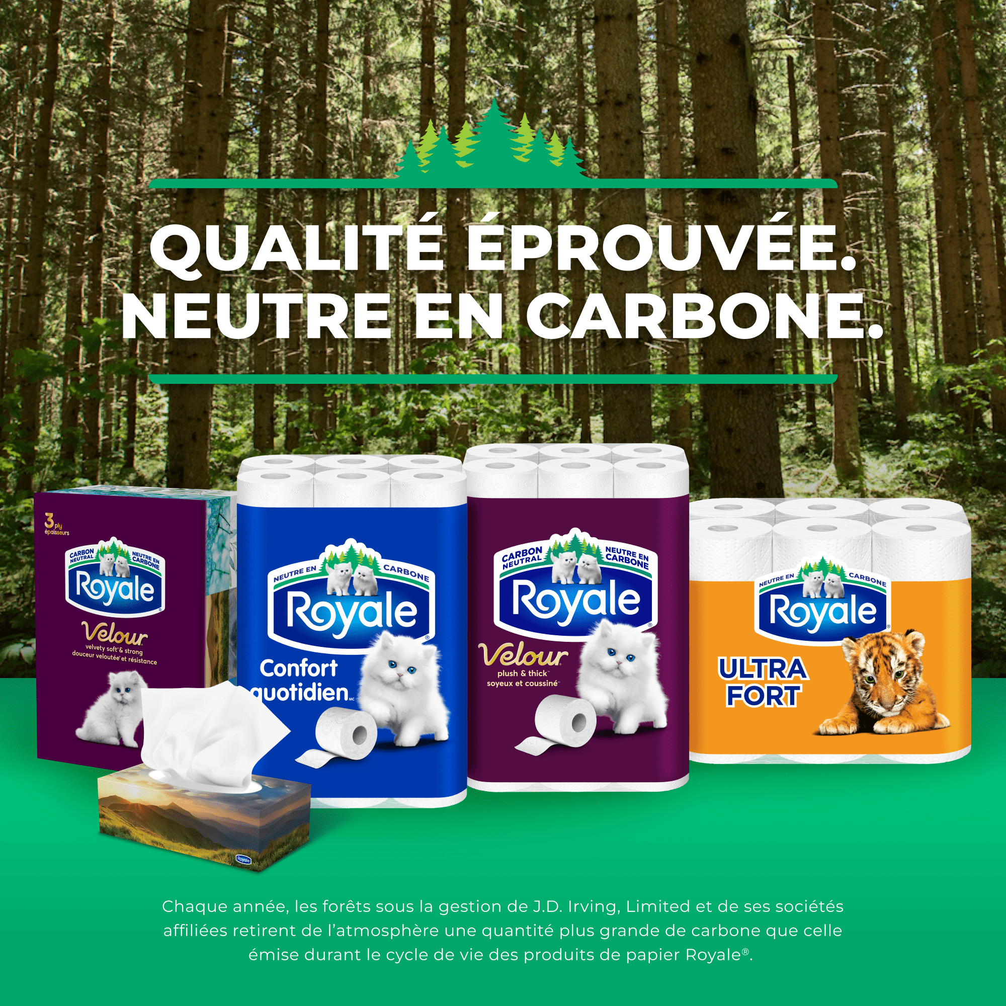 Royale Velour, 3 Ply Facial Tissue, 12 Flat Boxes, 82 Tissues per Box