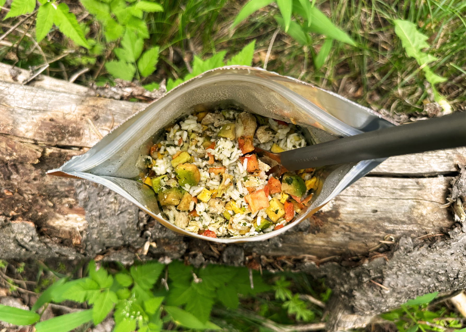 Foundation Outdoors Lime Chicken with Avocado Mango Salsa, Freeze Dried Backpacking & Camping Food, Emergency Food, High Protein Meal