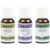 HoMedics Relax Sampler Therapeutic-Grade Essential Oil Eucalyptus Tea Tree & Relax Blend 0.5 oz. 3