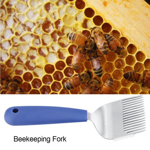 Poignée en Plastique en Acier Inoxydable Fourchette de Débouchage pour Abeilles Outils d'Apiculture
