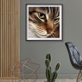 thumbnail image 4 of Cuadros Decorativos 5D Diamond Painting DIY Wolf Pictures Kit Full Drill Art Home Decor (B2387) DQrwqpou Nuevos Originales, 4 of 9