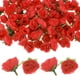 thumbnail image 1 of Uxcell 50 Paquete Cabezas de Rosas Artificiales 1.2'' Pequeñas Cabezas de Rosa de Seda Falsa para Decoraciones de Ramo de Boda Fiesta Rojas, 1 of 7