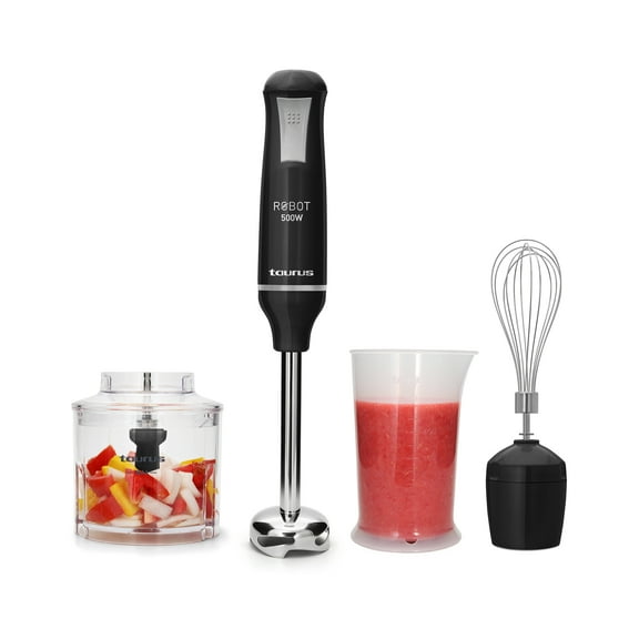 Immersion Blender - Robot 500 Inox Complete