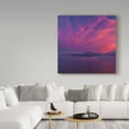 thumbnail image 3 of Trademark Fine Art 'Pink Clouds' Canvas Art by Jason Matias, 3 of 3