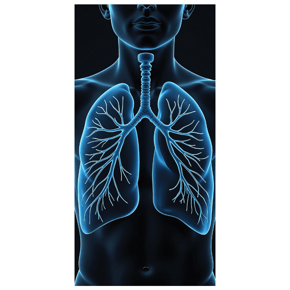 Anatomical Lungs Design Backdrop Banner Medical Theme Decorations Party Background for Health Events Science Exhibitions Medical Seminars Classroom Displays