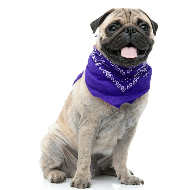 Paisley Polyester Ensemble de 3 Bavoirs Bandana Triangle pour Chiens et Chats - Taille Régulière